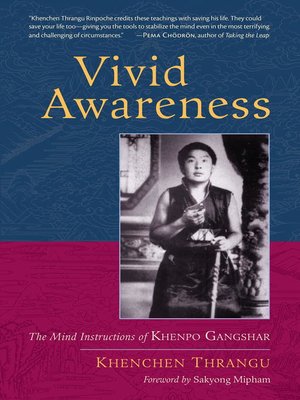 cover image of Vivid Awareness